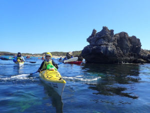 Penguin Island Paddle - FULLY SUBSCRIBED